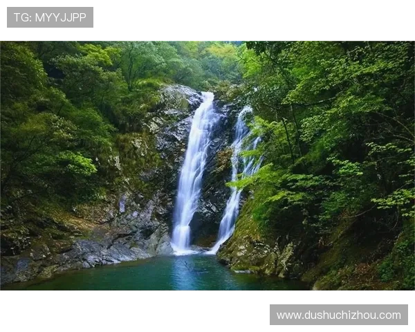 上葡京自助山:提供专业导游带领的生态旅游与文化探索之旅 上葡京自助山:提供专业导游带领的生态旅游与文化探索之旅