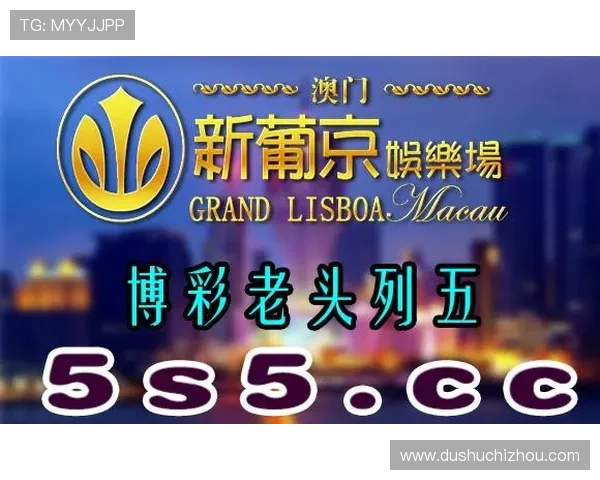 澳门新葡京在线登录网址每日更新，确保玩家顺畅无忧的娱乐体验