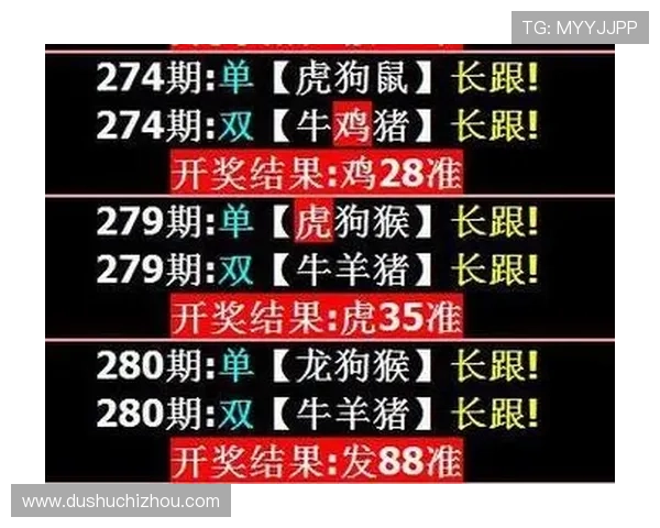 澳门彩集团会员注册流程详解帮助新手快速完成注册流程指南